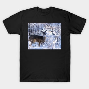 Young white-tailed deer T-Shirt